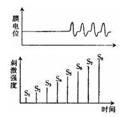 2010-2011学年湖北省荆州中学高二上学期期末考试生物