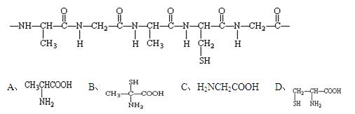 【题文】当含有下列结构片断的蛋白质在胃中水解时,不可能产生的