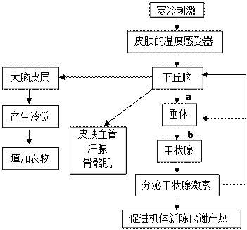 (1)当人体处于寒冷环境时,在体温调节中枢下丘脑的控制下分泌激素a