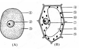 【题文】右图为细胞结构示意图,请据图回答