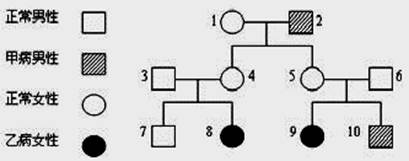 生物真题 正文  【题文】(每空1分,共8分)下图为两种单基因遗传病的