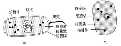 【题文】(15分)根据下图回答下列问题        