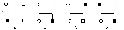 【题文】在下列的系谱图中,哪个肯定是常染色体隐性遗传病的系谱图?