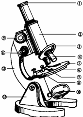 【题文】左下图是显微镜结构图,请据图填写各部分结构名称.