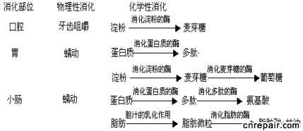 既能消化糖类,又能消化蛋白质和脂肪的消化液是 ( )a,胰液 b,唾液 c