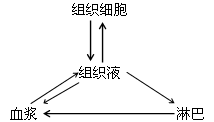 组织液的来源有细胞内液和血浆,去路有细胞内液,血浆,淋巴