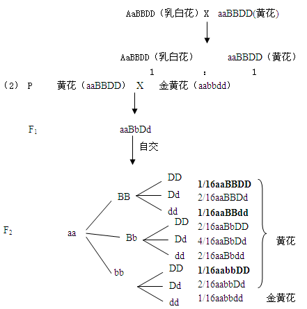 f1测交遗传图解如下