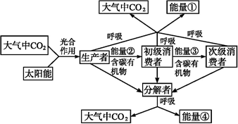 分析以下生态系统能量流动和物质循环关系简图,不能得到的结论是
