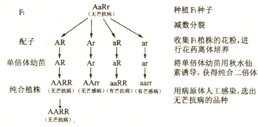 2014届河北正定中学高三上期第四次月考生物卷(带解析