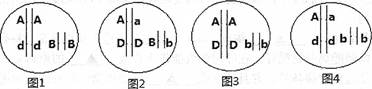 2014届浙江宁波高三第一学期期末考试生物卷(带解析)