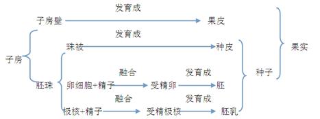 (3)由分析可以知道:2柱头,3花柱,5子房,合起来称为雌蕊.