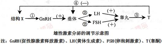 正文 【题文】下图为男性性激素——睾酮(t)的分泌调节机制