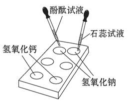 【题文】如图为某学习小组在白色点滴板上进行的有关"