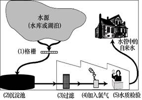 化学用语练习题_初中化学P259 – 新东方在线