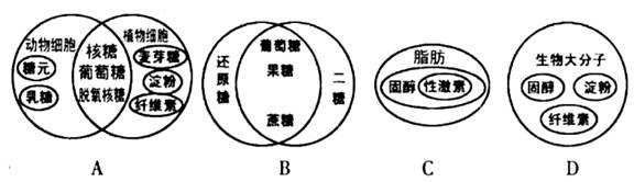 【题文】下列图中动植物糖类,脂质的分类与比较正确的是