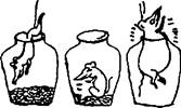 衡水金卷先享题调研卷 2021政治答案