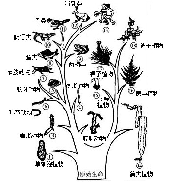 玄门之音