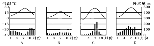 【题文】下列气温曲线,降水柱状图能反映北方地区气候特点的是()