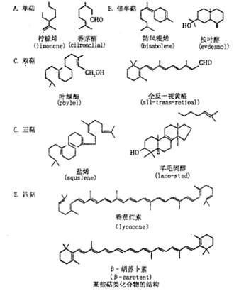 炸萝卜素丸子的做法_青萝卜素丸子_胡萝卜素市场分析