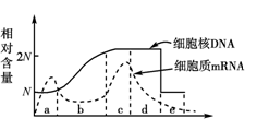 染色体和v形态质可以形态腹泻的婴儿是a和ec.时期转变发生用胡椒粉醋吗图片