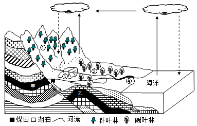 下图为"我国某地自然环境示意图",读图完成下列问题.