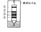 下图是纸层析法分离叶绿体中色素的装置图及层析结果