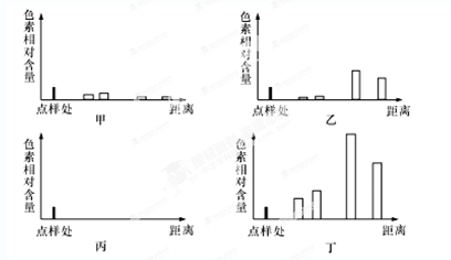 某生物兴趣小组完成对新鲜菠菜叶片进行叶绿体中色素的