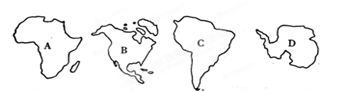 【题文】下列四个大洲中,表示南极洲的是()