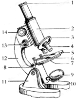 【题文】如图为显微镜的结构图,请据图回答(13分)