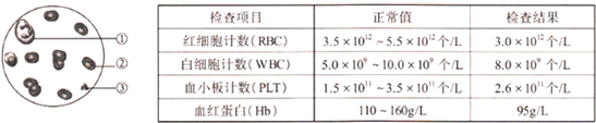 魔方格