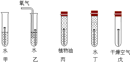 魔方格