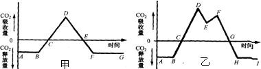 魔方格