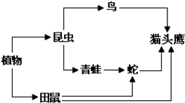 魔方格