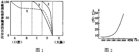 魔方格