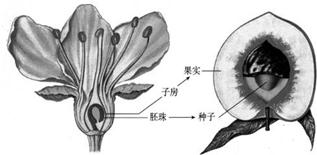 魔方格