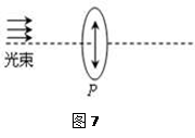 如图所示,P是一偏振片,P的透振方向(用带箭头