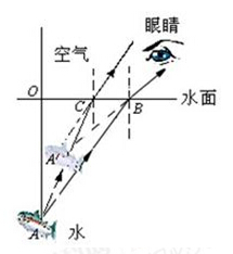 一个晴朗周末的午后