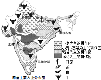 (2)印度是世界农业大国之一.