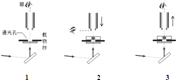 如图表示使用显微镜操作时的三个步骤,其操作的顺序是