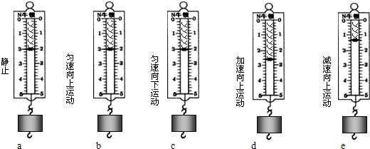 弹簧秤示意图钩码和弹簧秤钩码是什么弹簧下悬挂的钩码弹簧秤和钩码