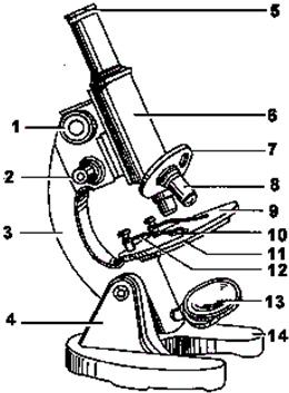 填出下面显微镜的相应结构名称.
