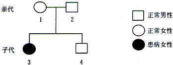 如图是某白化病家系的遗传系谱图,请据图回答