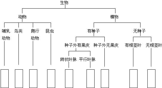 请你根据以下检索表,给下列动植物分类(请把答案填写在方框内)