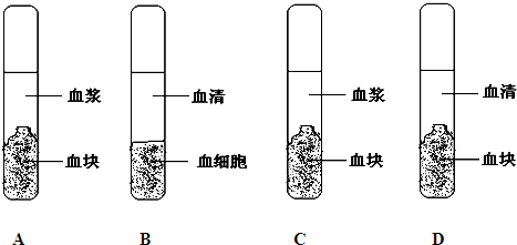 b中加入等量的抗凝剂,向c,d中加入等量的生理盐水,静置一段时间,下列