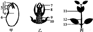 如图表示某一植物的种子结构,枝芽,一段枝条示意图,据
