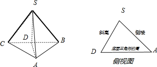 己知一个正三棱锥的正视图为等腰直角三角形,其尺寸如图所示,则其侧