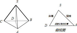 高中数学试题 空间几何体的视图与直观图 己知一个正三棱锥的正视图为