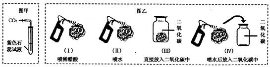 为了探究二氧化碳能否与水发生反应生成具有酸性的物质,a,b两同学分别