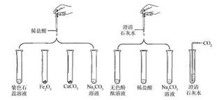 CaCO3用什么溶液可以去除