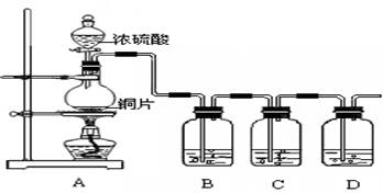 (1)铜和浓硫酸反应中浓硫酸的作用为 (a,强氧化剂 b,强还原剂).